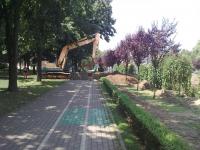 Imagine atasata: Image1259.jpg
